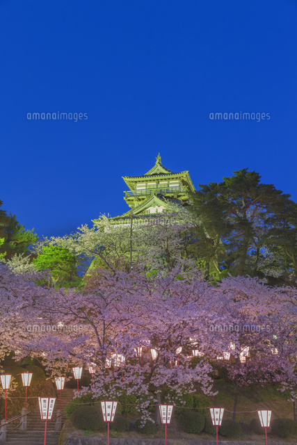 夜桜の丸岡城
(c)NOBUAKI SUMIDA/SEBUN PHOTO