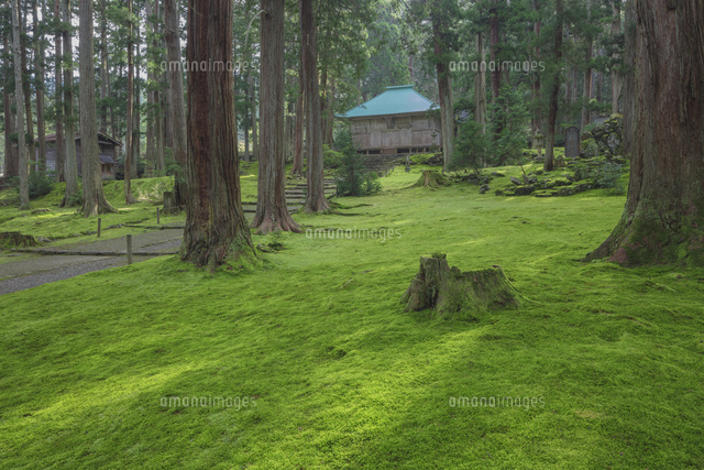 苔の平泉寺白山神社
(c)NOBUAKI SUMIDA/SEBUN PHOTO