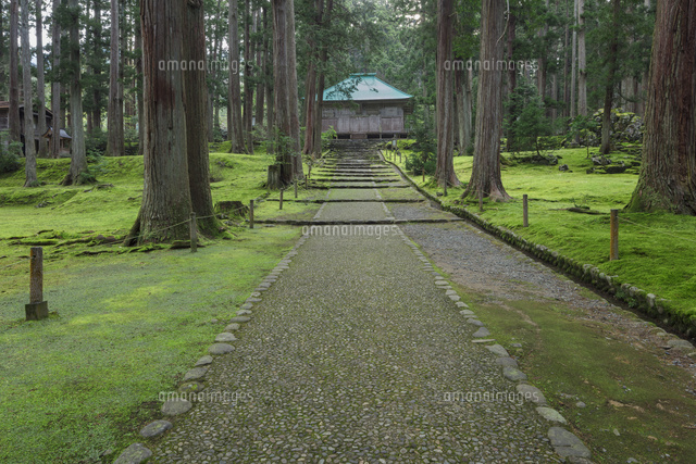 平泉寺白山神社の参道
(c)NOBUAKI SUMIDA/SEBUN PHOTO
