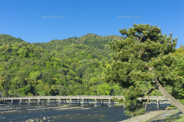新緑の渡月橋
(c)NOBUAKI SUMIDA/SEBUN PHOTO