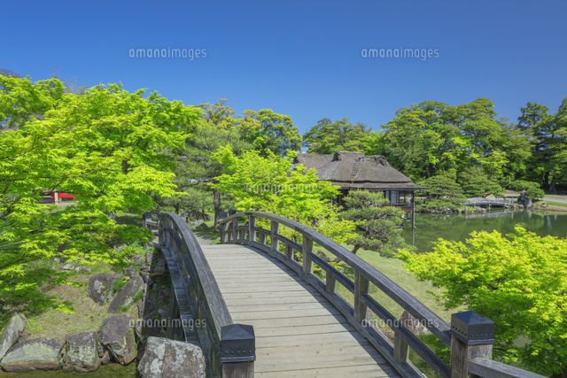 新緑の玄宮園
(c)NOBUAKI SUMIDA/SEBUN PHOTO