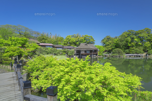 新緑の玄宮園
(c)NOBUAKI SUMIDA/SEBUN PHOTO