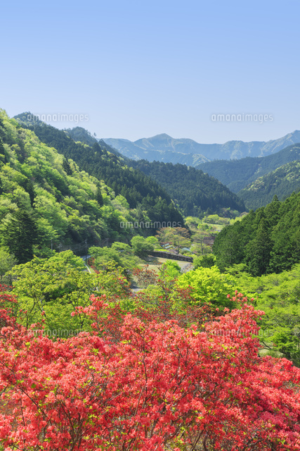 つつじの里荒滝
(c)NOBUAKI SUMIDA/SEBUN PHOTO