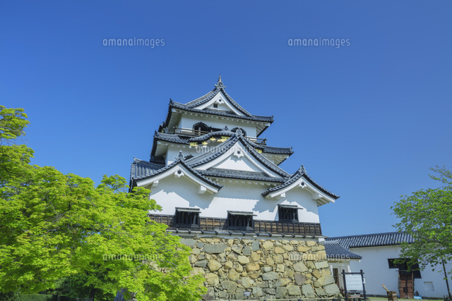 新緑の彦根城
(c)NOBUAKI SUMIDA/SEBUN PHOTO
