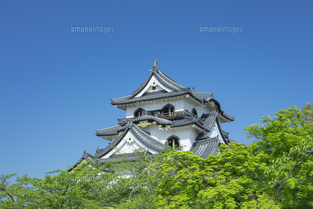 新緑の彦根城
(c)NOBUAKI SUMIDA/SEBUN PHOTO