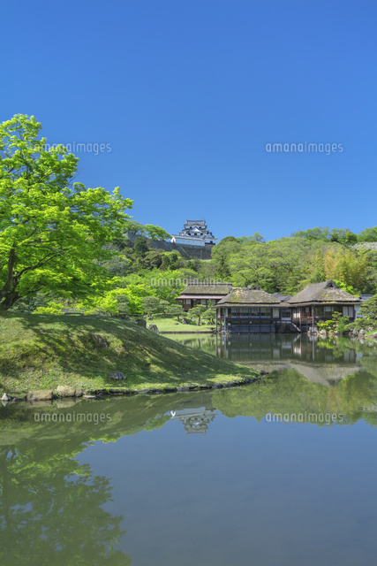 新緑の玄宮園と彦根城
(c)NOBUAKI SUMIDA/SEBUN PHOTO