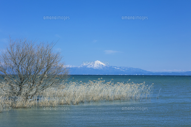 早春の琵琶湖と伊吹山
(c)NOBUAKI SUMIDA/SEBUN PHOTO