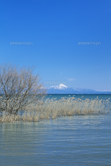 早春の琵琶湖と伊吹山
(c)NOBUAKI SUMIDA/SEBUN PHOTO
