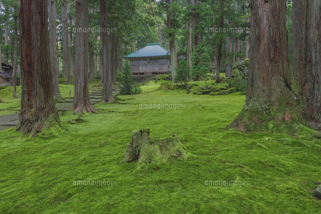 苔の平泉寺白山神社
(c)NOBUAKI SUMIDA/SEBUN PHOTO