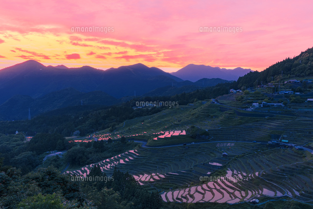 丸山千枚田の夕景
(c)NOBUAKI SUMIDA/SEBUN PHOTO