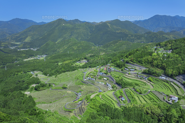 初夏の丸山千枚田
(c)NOBUAKI SUMIDA/SEBUN PHOTO