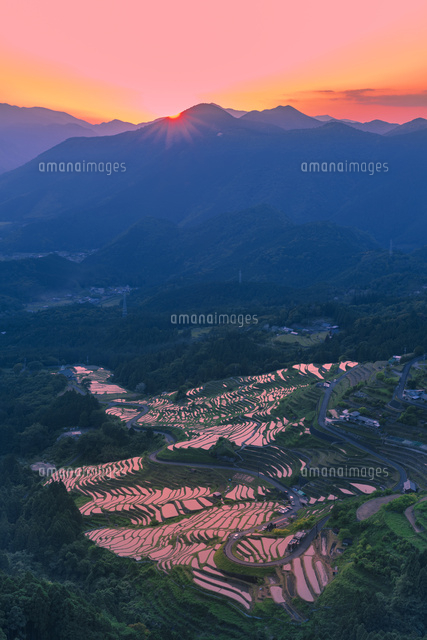 丸山千枚田の夕景
(c)NOBUAKI SUMIDA/SEBUN PHOTO