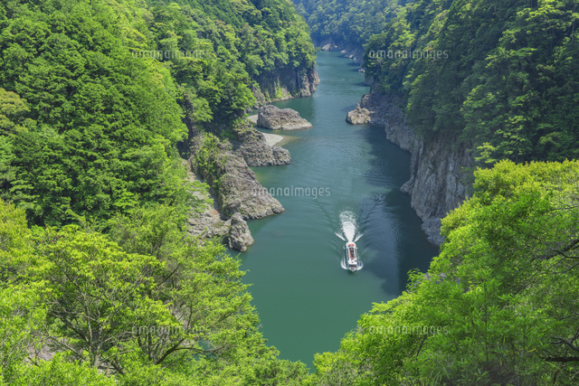 初夏の瀞峡と遊覧船
(c)NOBUAKI SUMIDA/SEBUN PHOTO