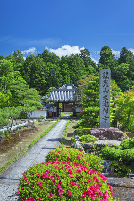 サツキ咲く大池寺
(c)NOBUAKI SUMIDA/SEBUN PHOTO