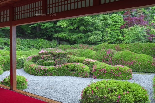 サツキ咲く大池寺
(c)NOBUAKI SUMIDA/SEBUN PHOTO