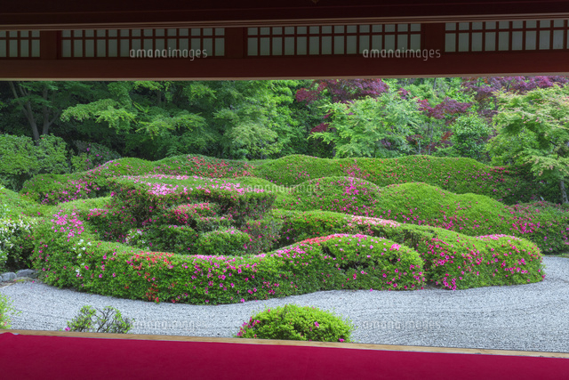 サツキ咲く大池寺
(c)NOBUAKI SUMIDA/SEBUN PHOTO