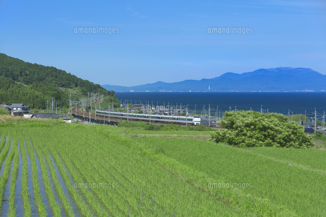 JR湖西線と田園風景
(c)NOBUAKI SUMIDA/SEBUN PHOTO