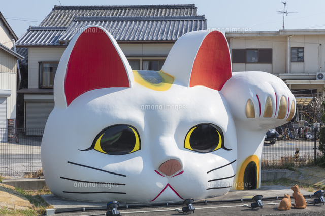 とこなめ見守り猫
(c)NOBUAKI SUMIDA/SEBUN PHOTO