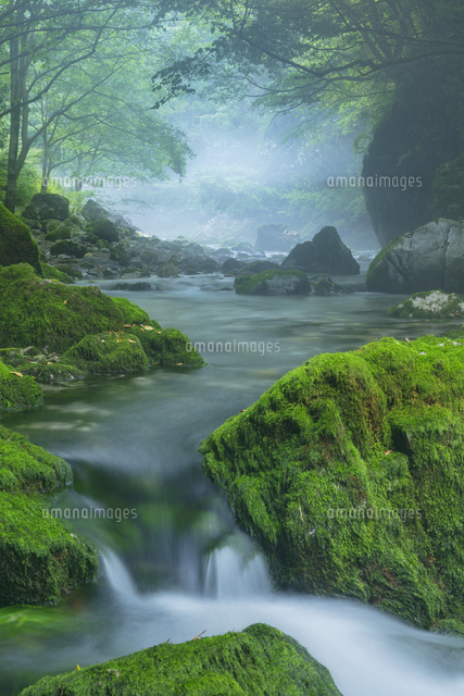 夏の円原川の伏流水
(c)NOBUAKI SUMIDA/SEBUN PHOTO