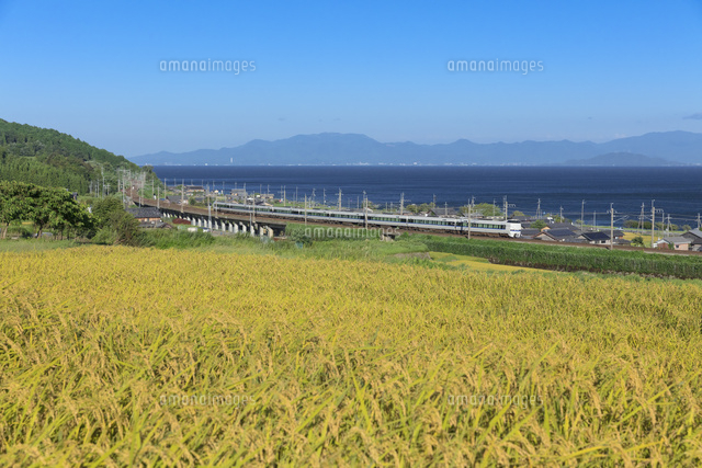 JR湖西線と田園風景
(c)NOBUAKI SUMIDA/SEBUN PHOTO