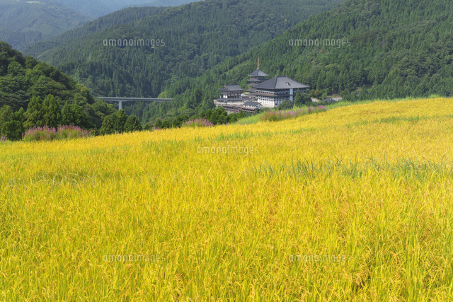 和佐父(わさぶ)」西ヶ岡の棚田
(c)NOBUAKI SUMIDA/SEBUN PHOTO