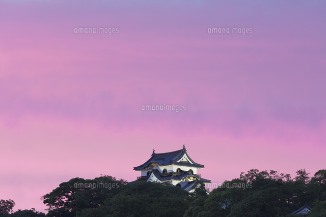 彦根城の夕景
(c)NOBUAKI SUMIDA/SEBUN PHOTO