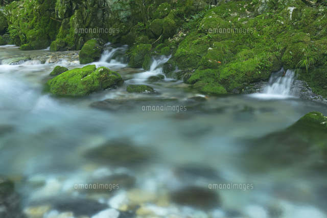 夏の円原川の伏流水
(c)NOBUAKI SUMIDA/SEBUN PHOTO