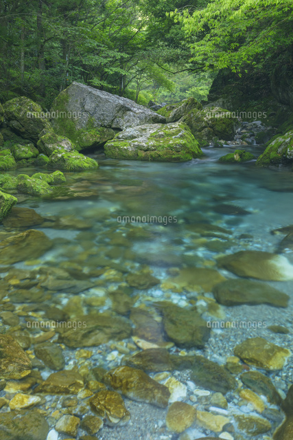 夏の円原川の伏流水
(c)NOBUAKI SUMIDA/SEBUN PHOTO