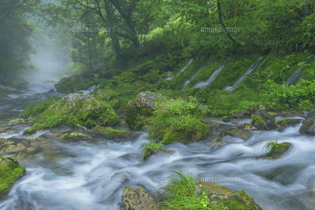 夏の円原川の伏流水
(c)NOBUAKI SUMIDA/SEBUN PHOTO