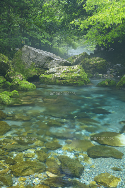 夏の円原川の伏流水
(c)NOBUAKI SUMIDA/SEBUN PHOTO