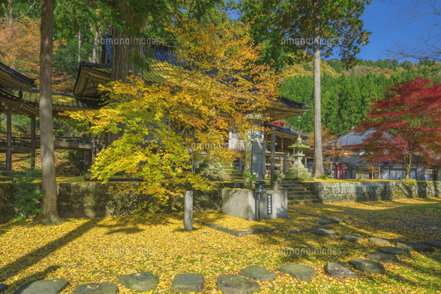秋の妙見山日光院
(c)NOBUAKI SUMIDA/SEBUN PHOTO
