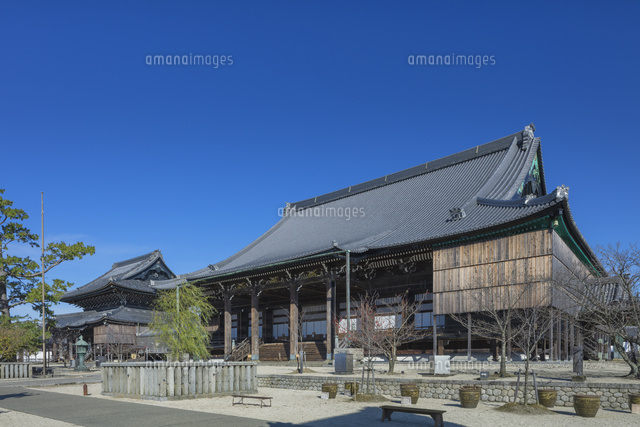 高田本山専修寺の御影堂と如来堂
(c)NOBUAKI SUMIDA/SEBUN PHOTO