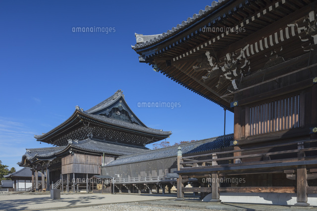高田本山専修寺の御影堂と如来堂
(c)NOBUAKI SUMIDA/SEBUN PHOTO