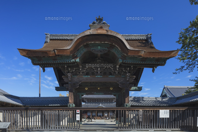 高田本山専修寺の唐門と如来堂
(c)NOBUAKI SUMIDA/SEBUN PHOTO