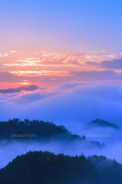 熊野の雲海と朝日
(c)NOBUAKI SUMIDA/SEBUN PHOTO