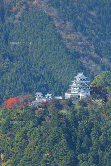 秋の郡上八幡城
(c)NOBUAKI SUMIDA/SEBUN PHOTO