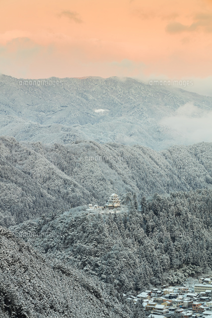 雪景色の郡上八幡城
(c)NOBUAKI SUMIDA/SEBUN PHOTO