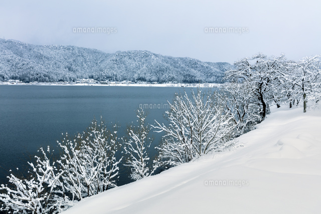 雪景色の余呉湖
(c)NOBUAKI SUMIDA/SEBUN PHOTO