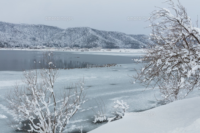 雪景色の余呉湖
(c)NOBUAKI SUMIDA/SEBUN PHOTO