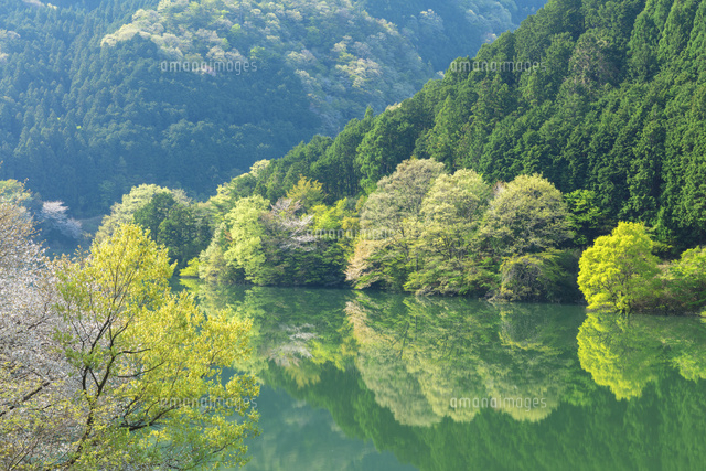室生湖の新緑
(c)NOBUAKI SUMIDA/SEBUN PHOTO