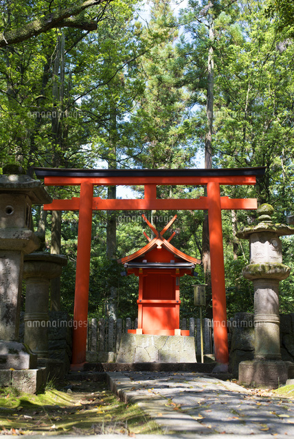 祠 イラスト 写真素材 フォトライブラリー