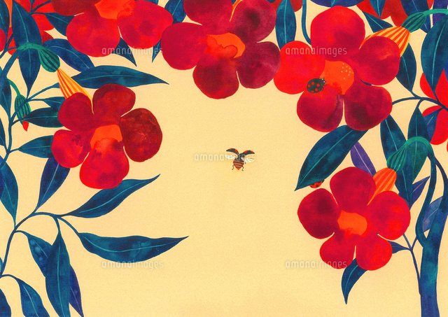 花と虫 夏の花と天道虫
(c)AI FUJITA