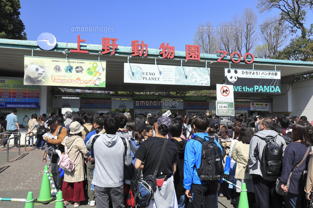 100 Epic Best上野 動物園 イラスト 動物ゾーン