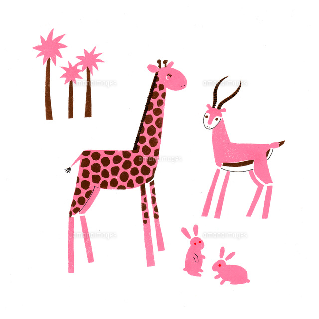 アフリカの動物 02849000037 の写真素材 イラスト素材 アマナイメージズ