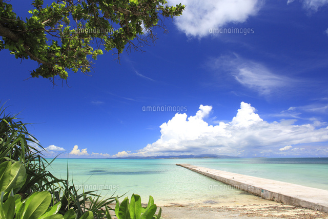 西桟橋と夏雲
(c)MarinepressJapan
