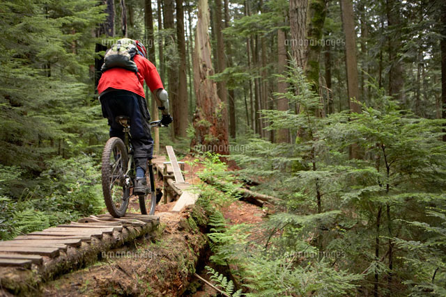mtb off road
