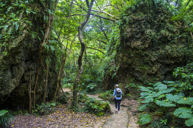 Sacred site of Sefa Utaki, UNESCO World Heritage Site, Okinawa, Japan, Asia
(c)Michael Runkel/robertharding