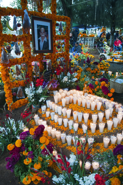 ãday of the dead Mexicoãã®ç»åæ¤ç´¢çµæ