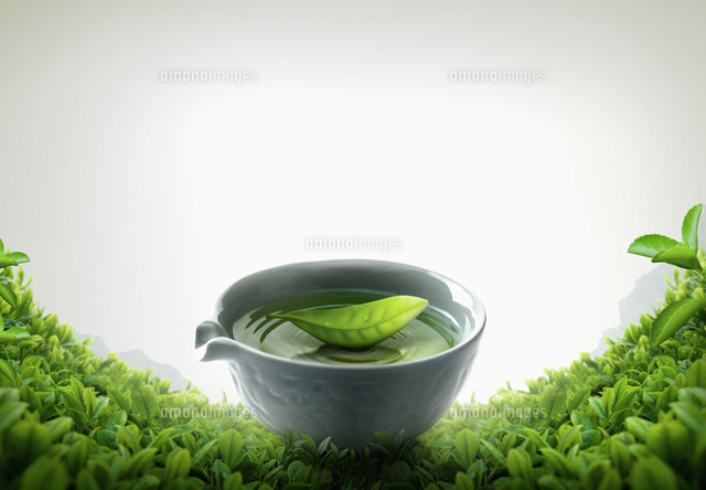Green Tea の写真素材 イラスト素材 アマナイメージズ