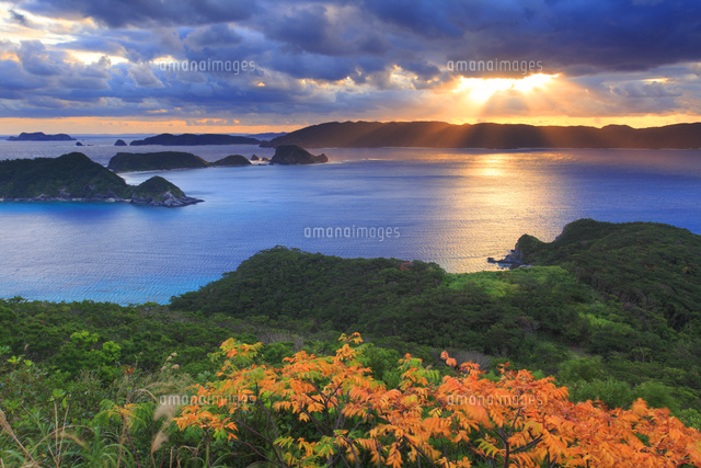リュウキュウハゼの紅葉と渡嘉敷島と朝日の光芒
(c)Mitsushi Okada/orion